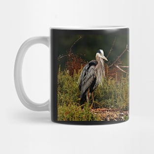 Relaxing Great Blue Heron Mug